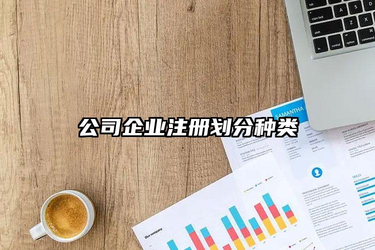 公司企業(yè)注冊劃分種類