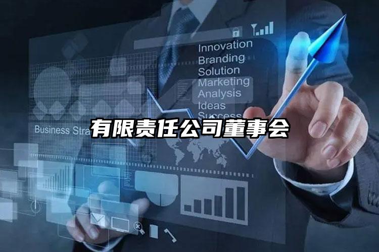 有限責(zé)任公司董事會